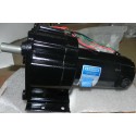 Assy Elec Conveyor Motor